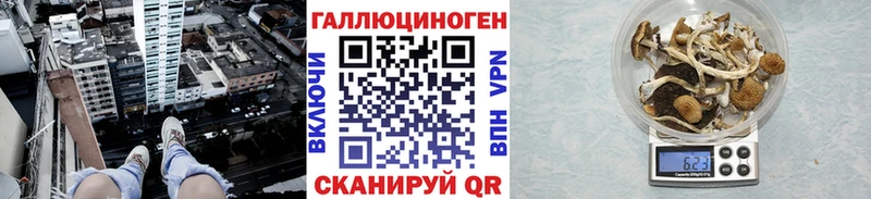 дарк нет официальный сайт  Алексин  Псилоцибиновые грибы прущие грибы 