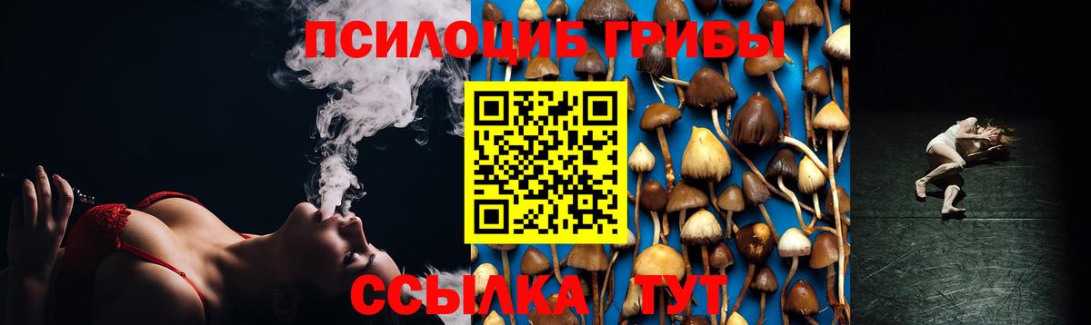 Псилоцибиновые грибы Psilocybine cubensis Алексин